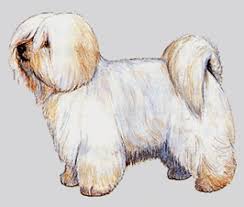 �����Ƒ��Ɍ}����O��